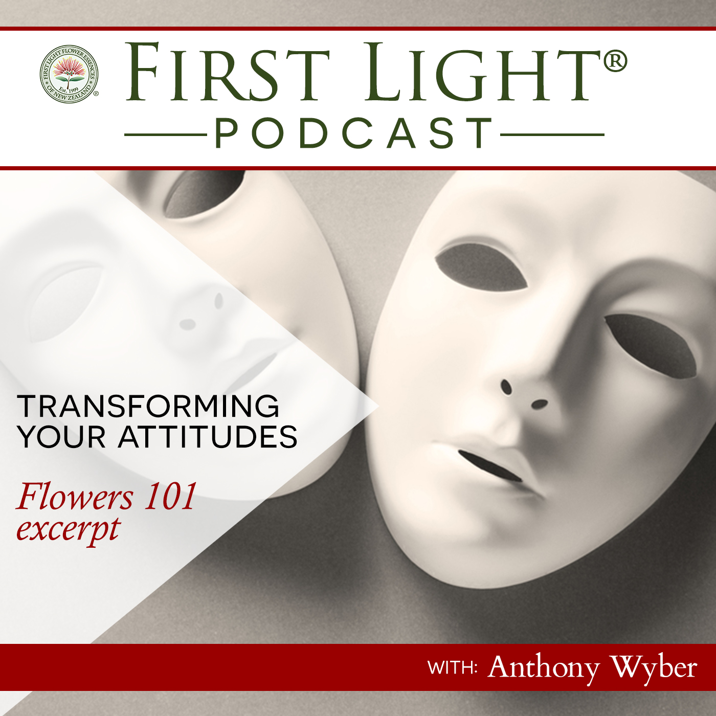 Transforming Your Attitudes